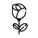 Minimalist